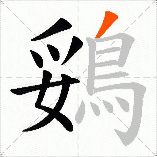 鵎