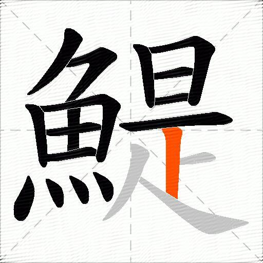 鯷