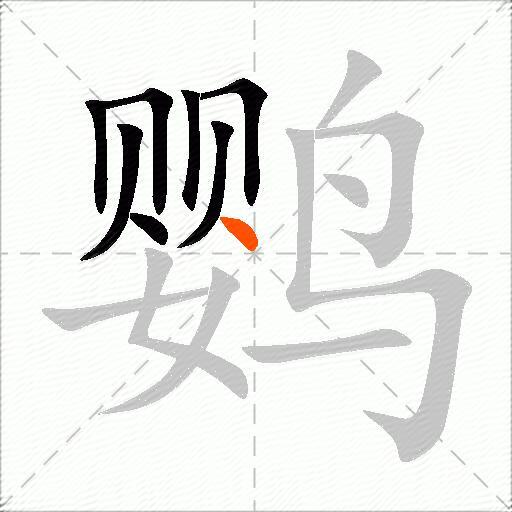 鹦