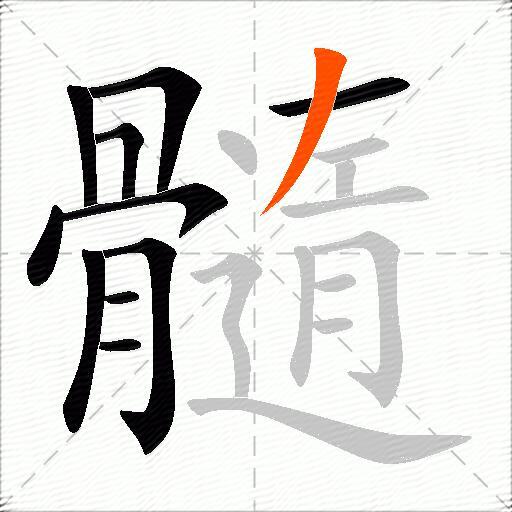 髓