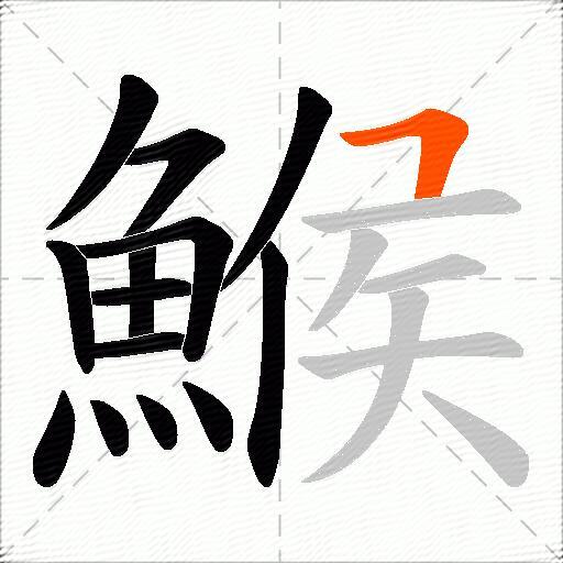 鯸