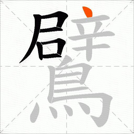 鷿