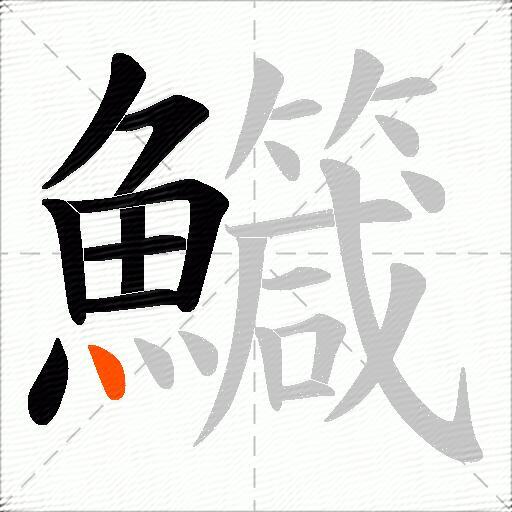 鱵