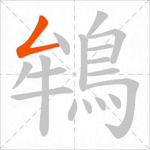 鴾