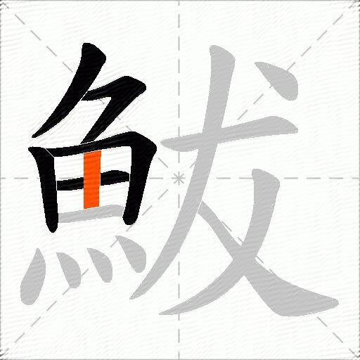 鮁