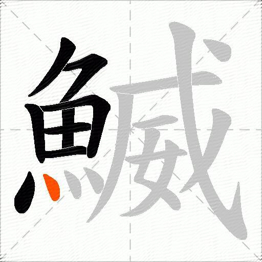 鰄