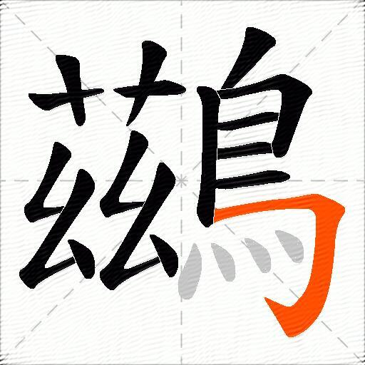 鷀