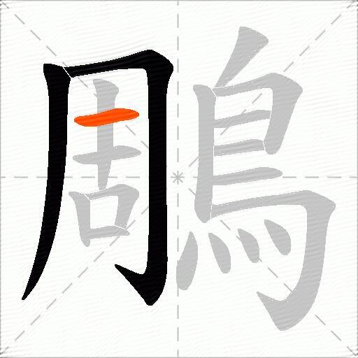 鵰