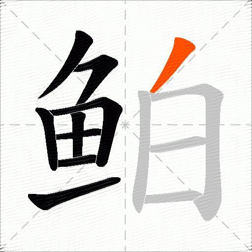 鲌