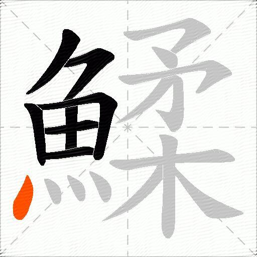 鰇