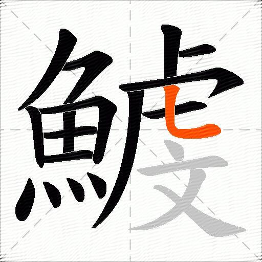 鰬