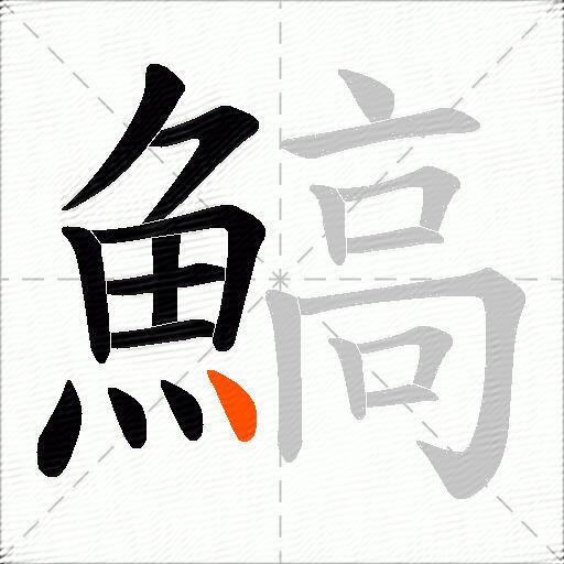 鰝