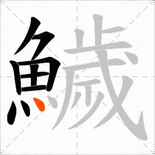 鱥
