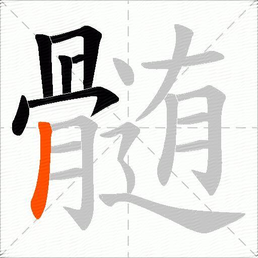 髄