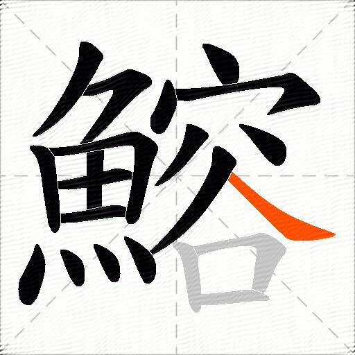 鰫