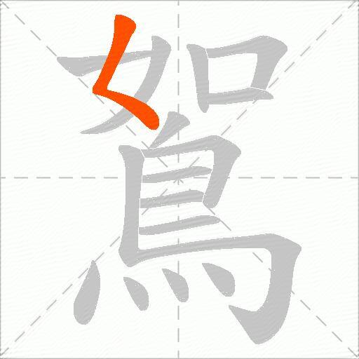 鴽