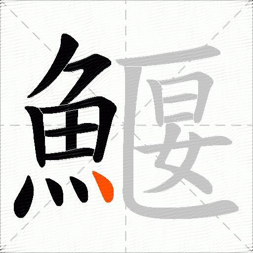 鰋