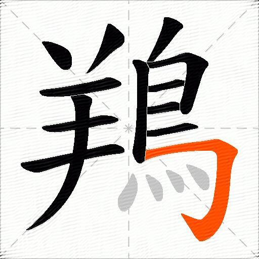 鴹