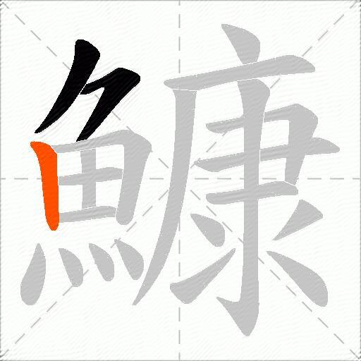 鱇