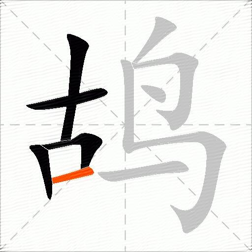 鸪