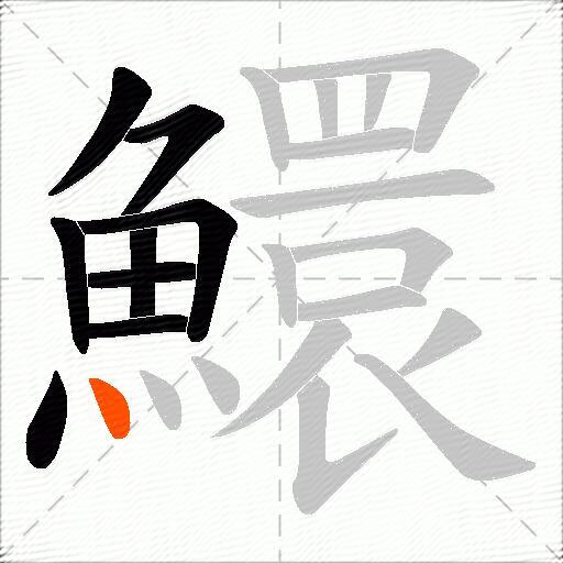 鱞