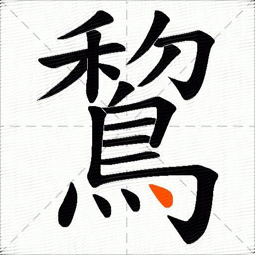 鵹
