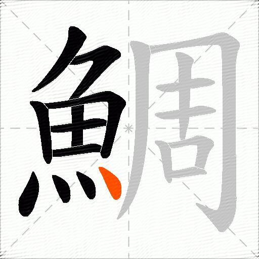 鯛