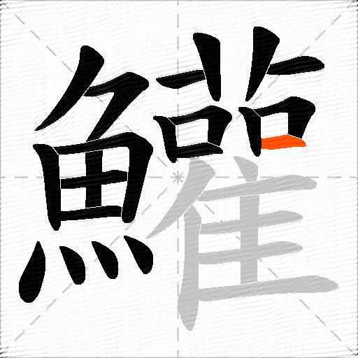 鱹