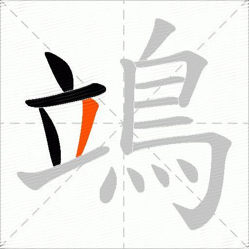 鴗