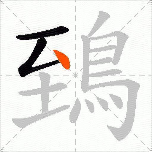 鵄