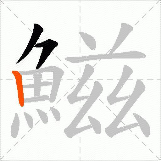 鰦