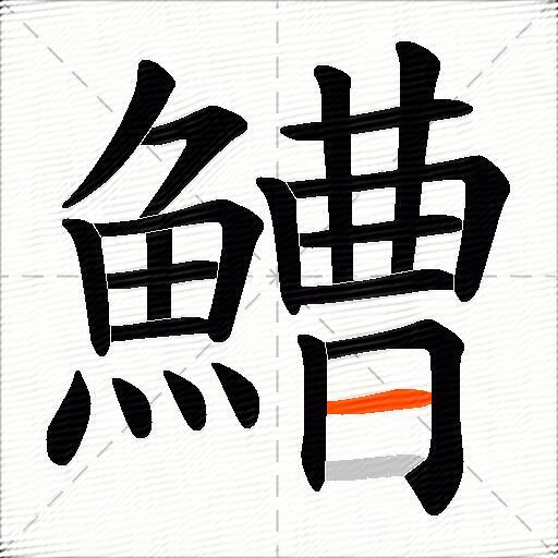 鰽