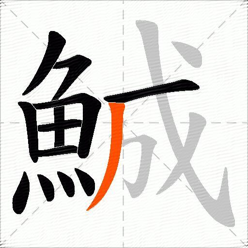 鯎