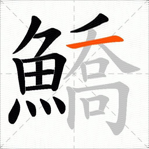 鱎