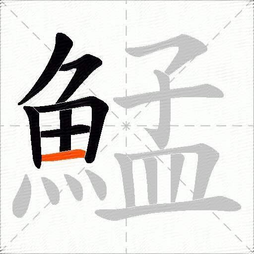 鯭