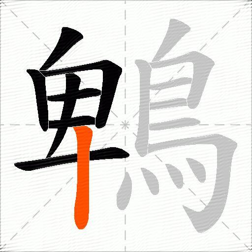 鵯