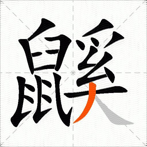 鼷