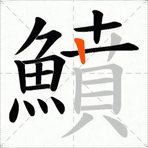 鱝