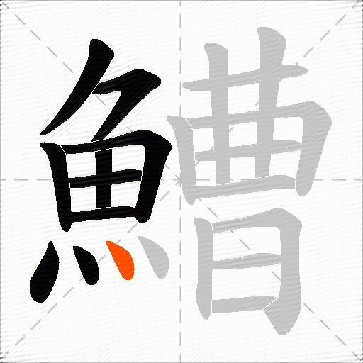 鰽