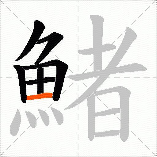 鯺