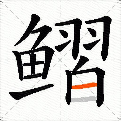 鳛