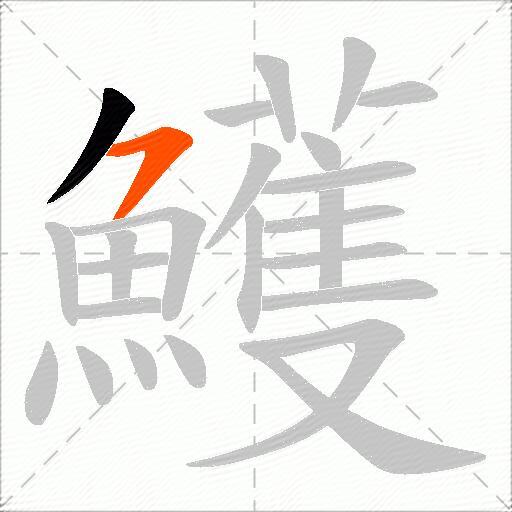 鱯