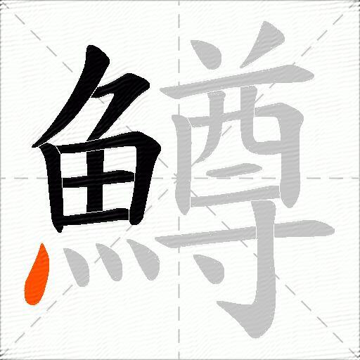 鱒