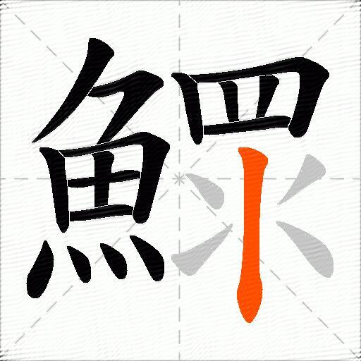 鰥