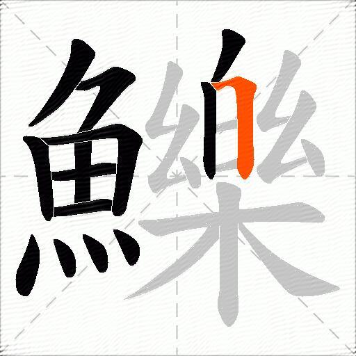 鱳