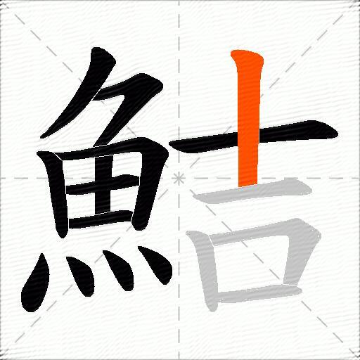 鮚