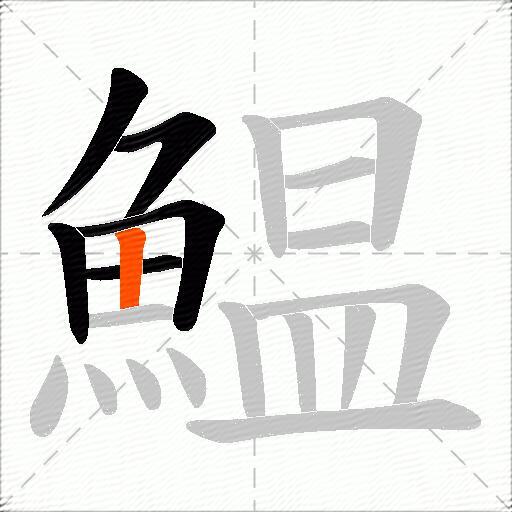 鰛