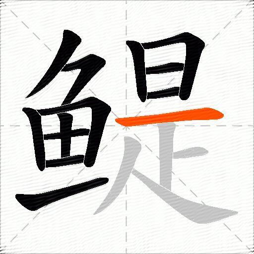 鳀