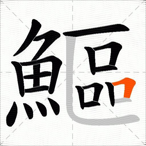 鰸
