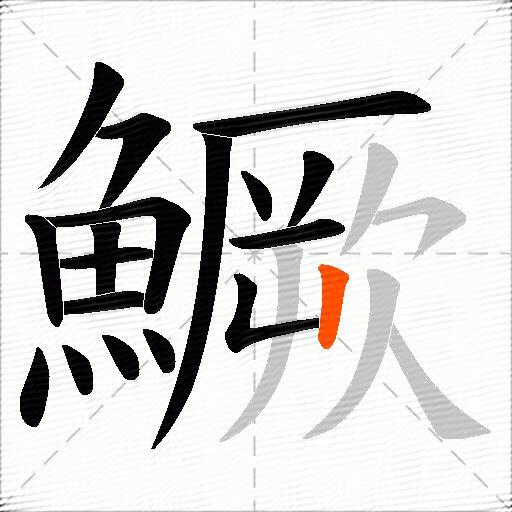 鱖